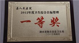 2012年度卫生综合目标第一名