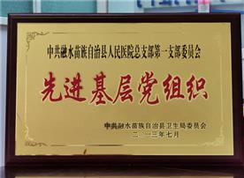 2013先进基层党组织