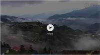 【科普视频】融水苗族自治县人医院教你如何应对蛇类咬伤急救处理和预防的知识